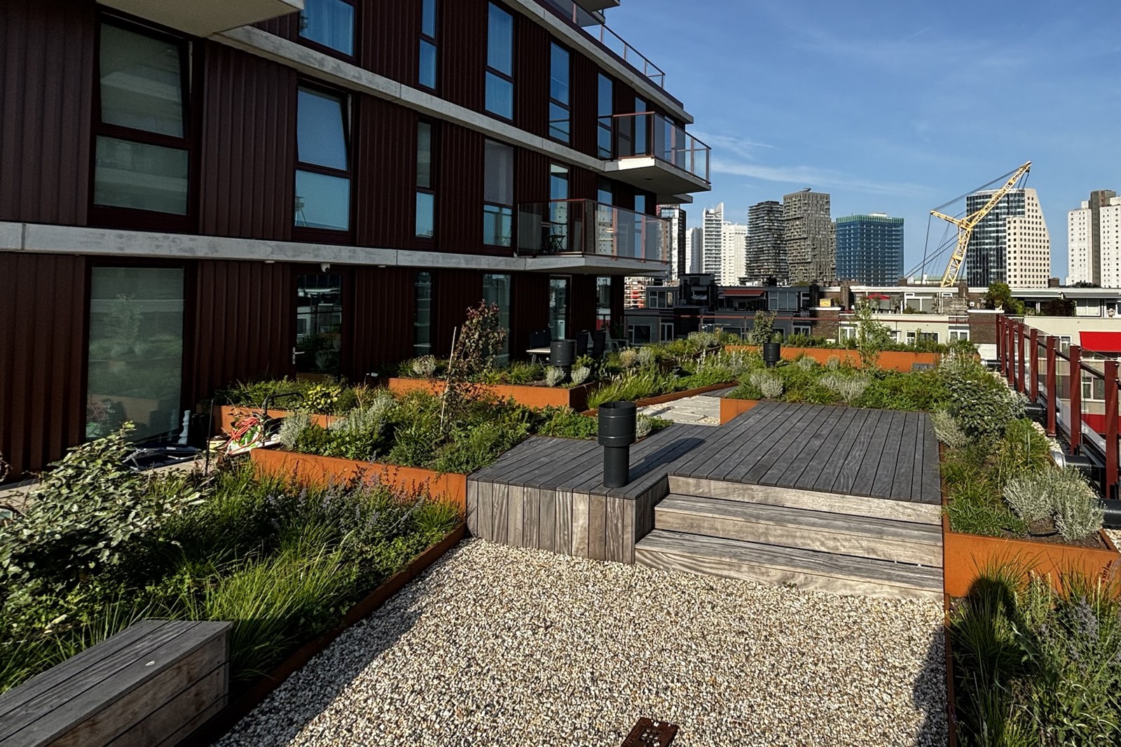 Zonnige daktuin met houten terras, plantenbakken en uitzicht op de skyline